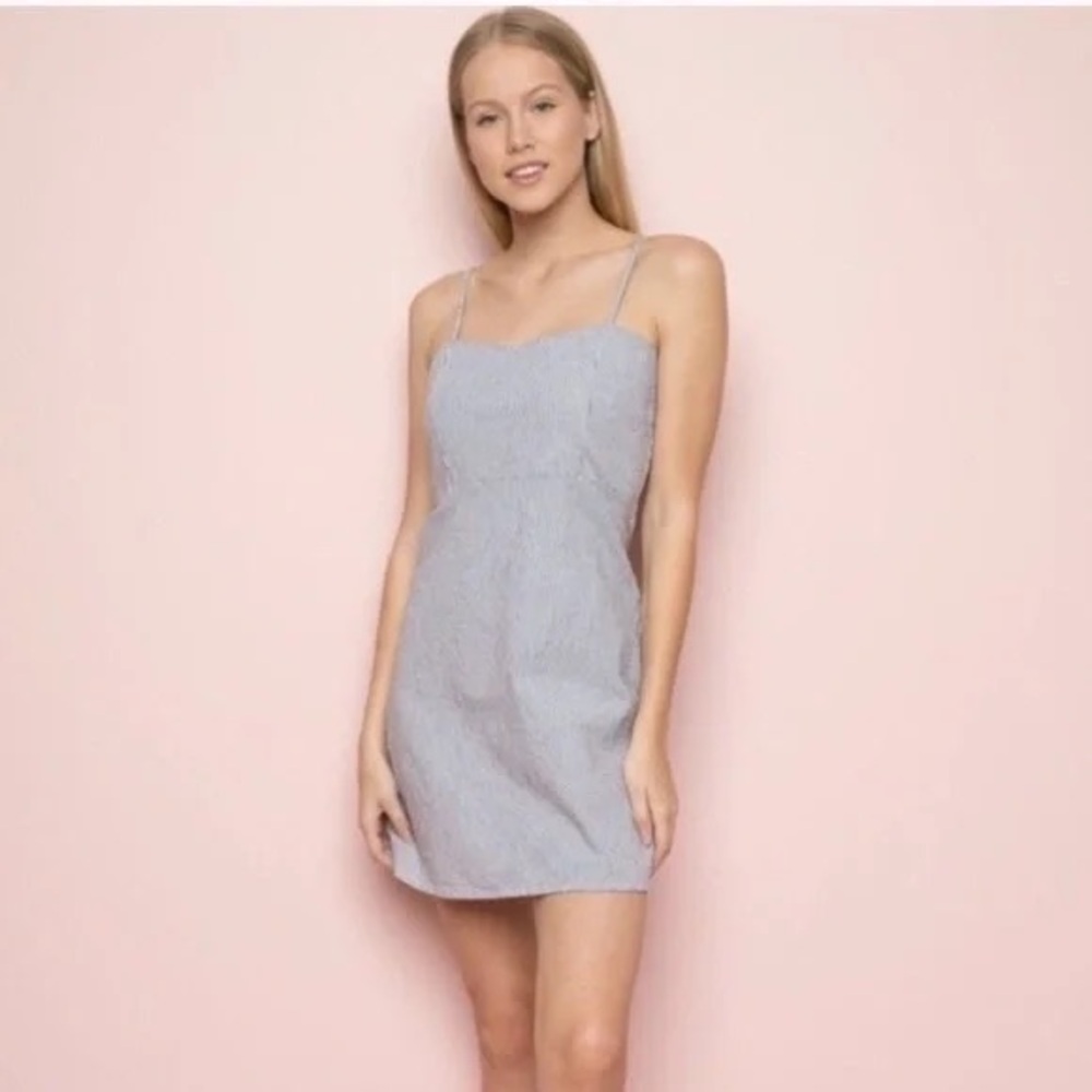 Brandy Melville | Karla Pinstripe Blue & White Mini Dress